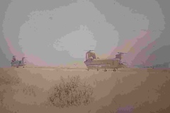 8oR1977PEDROVENDRELL-104