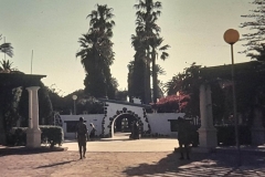 8oR1977PEDROVENDRELL-113