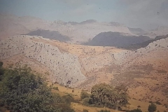 8oR1977PEDROVENDRELL-116