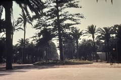 8oR1977PEDROVENDRELL-118