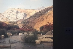 8oR1977PEDROVENDRELL-119