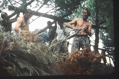 8oR1977PEDROVENDRELL-124