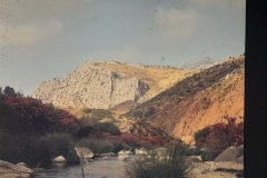 8oR1977PEDROVENDRELL-125