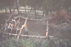 8oR1977PEDROVENDRELL-126