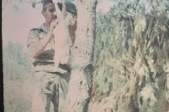 8oR1977PEDROVENDRELL-131