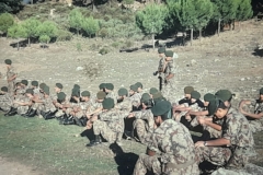 8oR1977PEDROVENDRELL-134