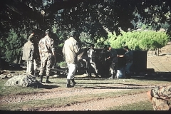 8oR1977PEDROVENDRELL-135