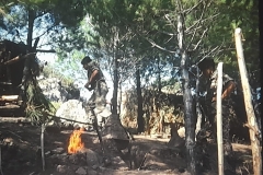 8oR1977PEDROVENDRELL-138