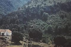 8oR1977PEDROVENDRELL-139