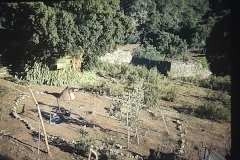 8oR1977PEDROVENDRELL-140