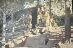 8oR1977PEDROVENDRELL-145