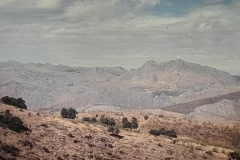 8oR1977PEDROVENDRELL-146