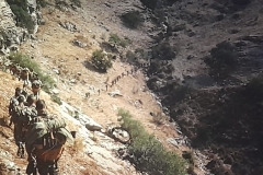 8oR1977PEDROVENDRELL-148