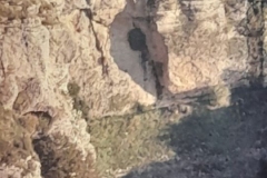 8oR1977PEDROVENDRELL-153