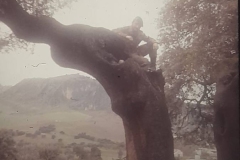 8oR1977PEDROVENDRELL-2