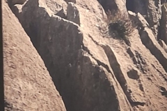 8oR1977PEDROVENDRELL-28