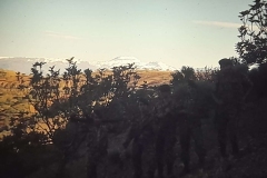 8oR1977PEDROVENDRELL-88