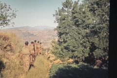 8oR1977PEDROVENDRELL-90