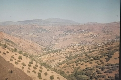 8oR1977PEDROVENDRELL-91