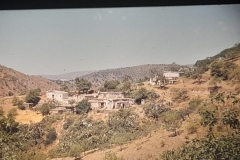 8oR1977PEDROVENDRELL-93