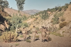 8oR1977PEDROVENDRELL-97