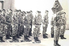 FB_IMG_1436402714581-