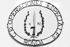 FB_IMG_1625652988347-