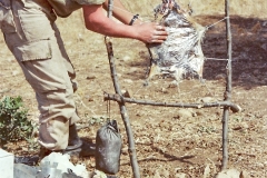 PEPE-FRISUELOS-COE-92-1978-11-