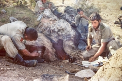 PEPE-FRISUELOS-COE-92-1978-12-