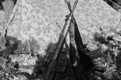 PEPE-FRISUELOS-COE-92-1978-7